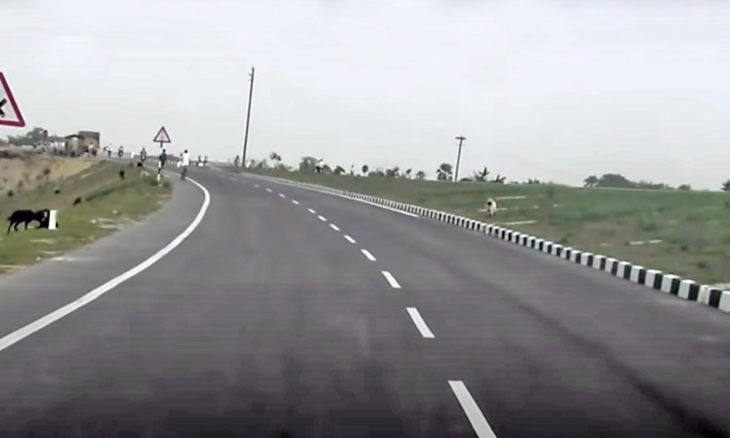 DBL-HCC JV signs EPC agreement with NHAI for road project in Bihar