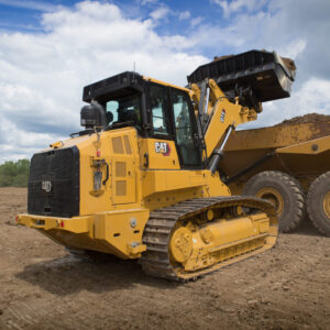 The Powerful Cat 973