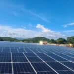 Shree Cement Achieves Over 60% Green Power Usage