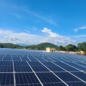 Shree Cement Achieves Over 60% Green Power Usage