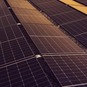 SAEL Industries Secures PPAs for 880 MW Solar Projects in Gujarat and Punjab