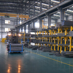 MOTHER INDIA FORMING